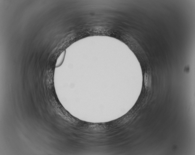 X0000115121107200912081338