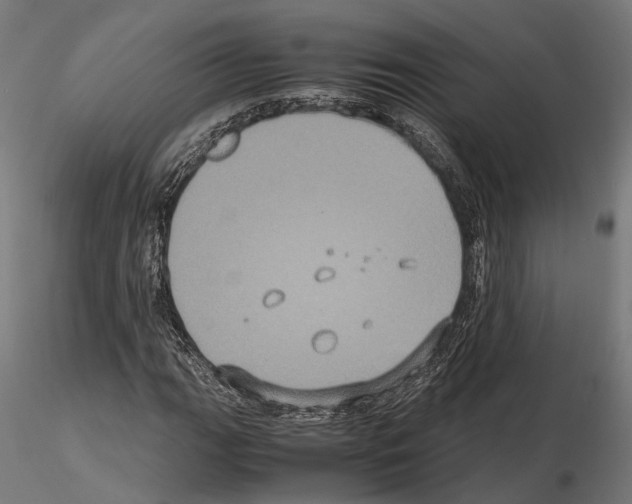 X0000115121111200912081338