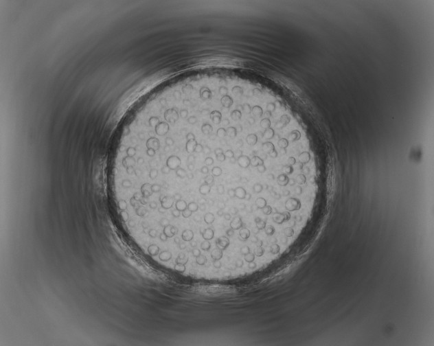 X0000115121113200912081338