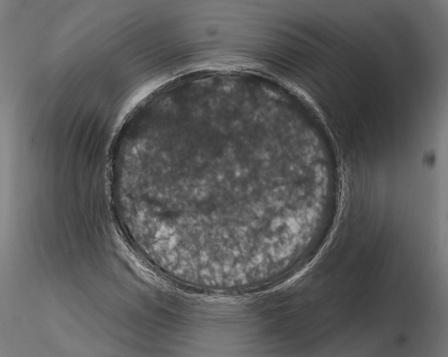 X0000115121114200912081338