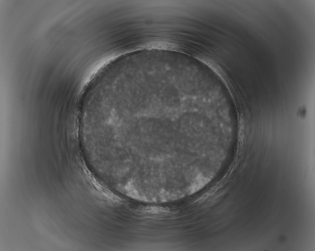 X0000115121115200912081338