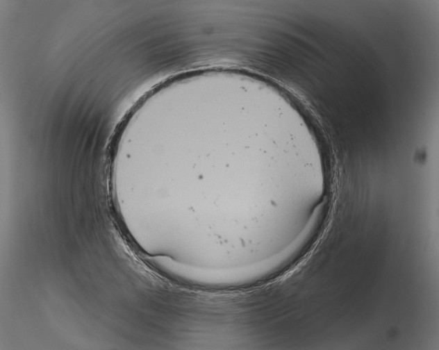 X0000115121118200912081338