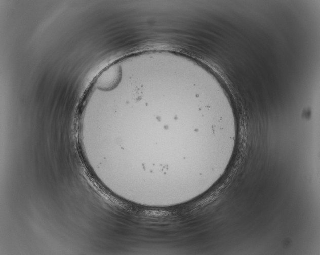 X0000115121119200912081338