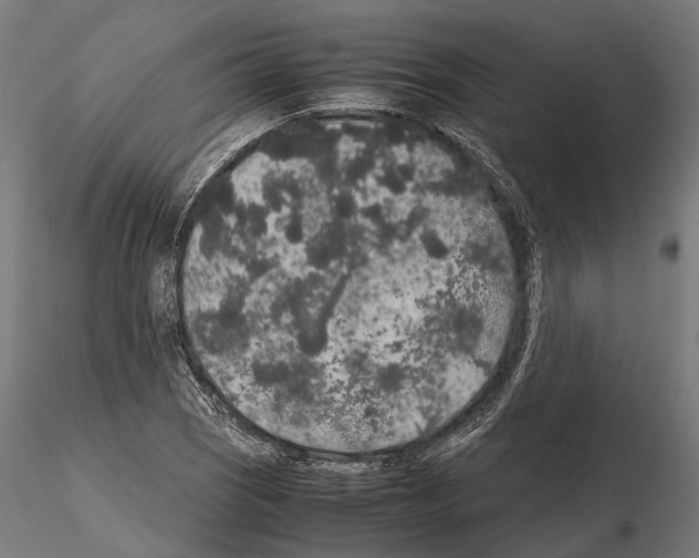 X0000115121121200912081338