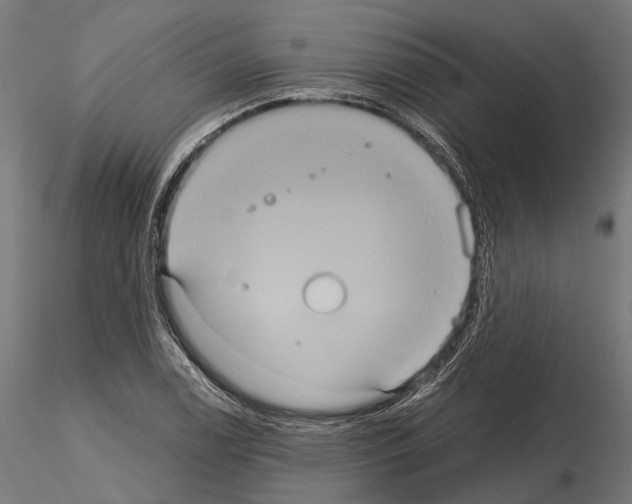 X0000115121122200912081338