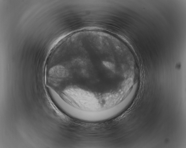 X0000115121127200912081338