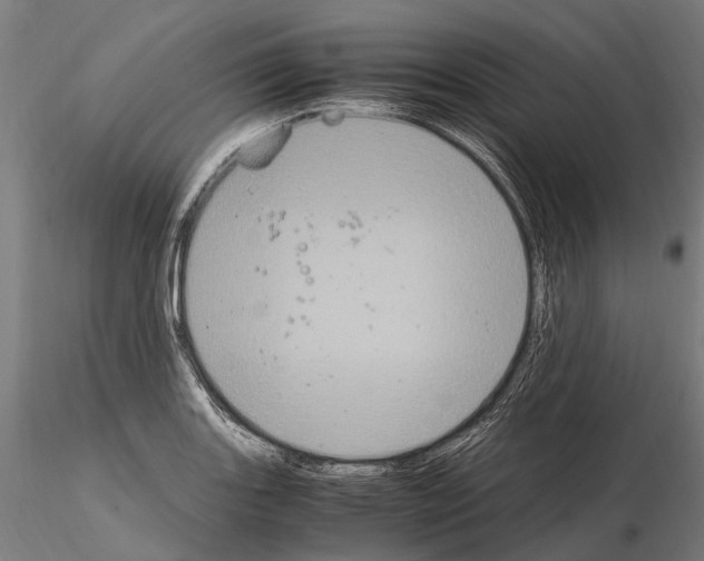 X0000115121131200912081338