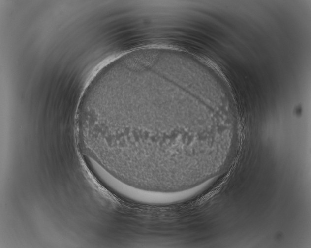 X0000115121133200912081338