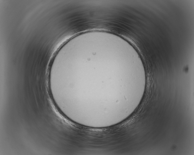 X0000115121135200912081338