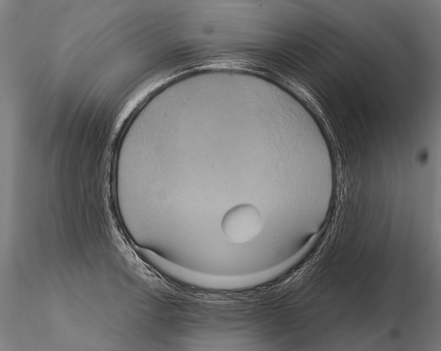 X0000115121138200912081338