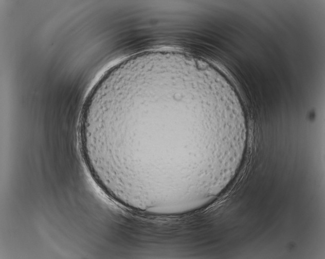 X0000115121139200912081338