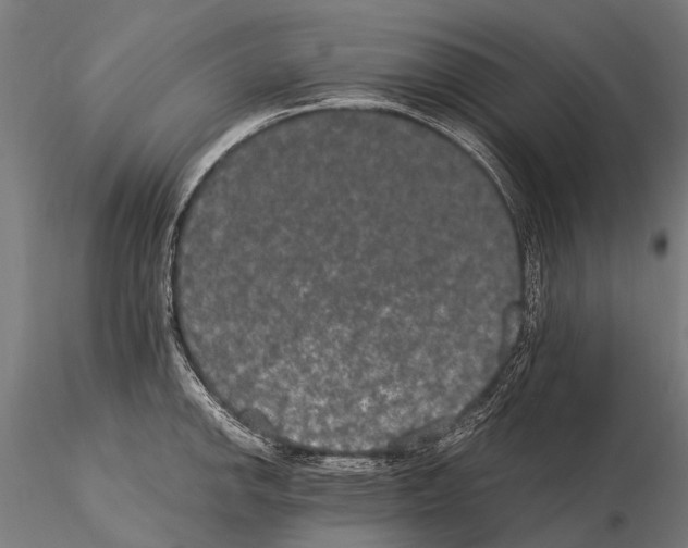 X0000115121142200912081338