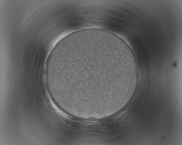 X0000115121143200912081338