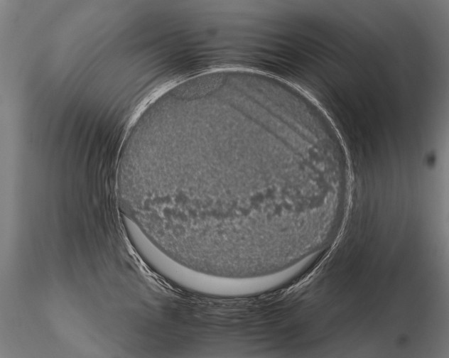 X0000115121145200912081338