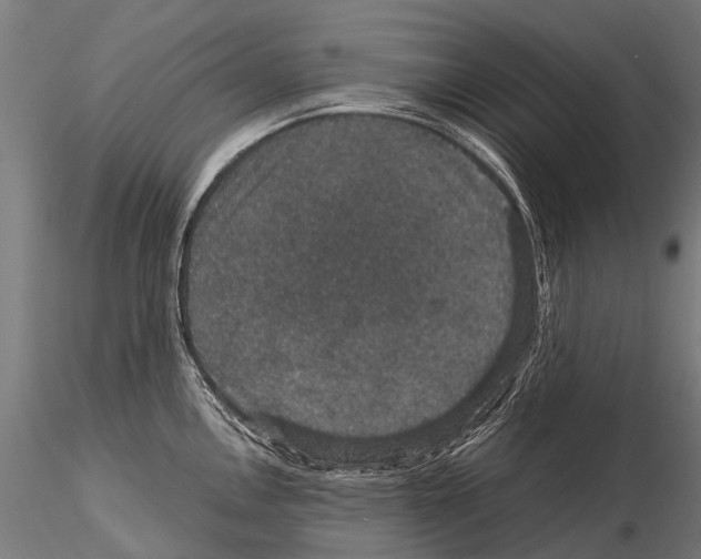 X0000115121146200912081338