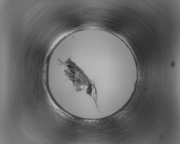 X0000115121147200912081338