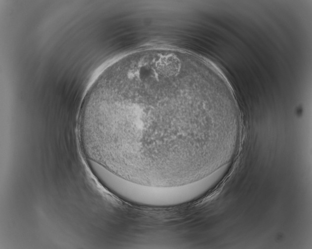 X0000115121149200912081338