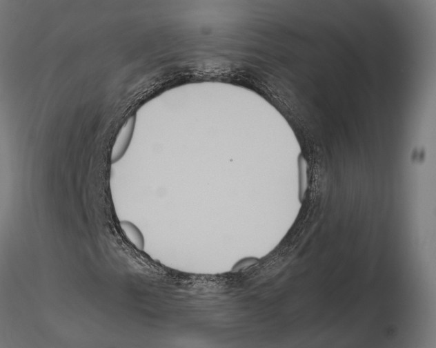 X0000115121153200912081338