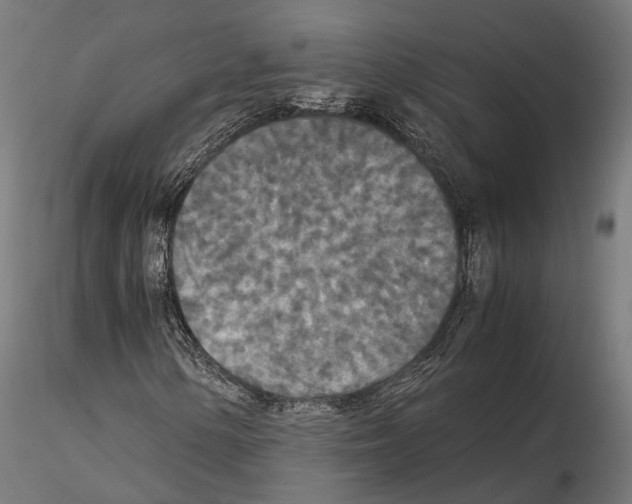 X0000115121154200912081338