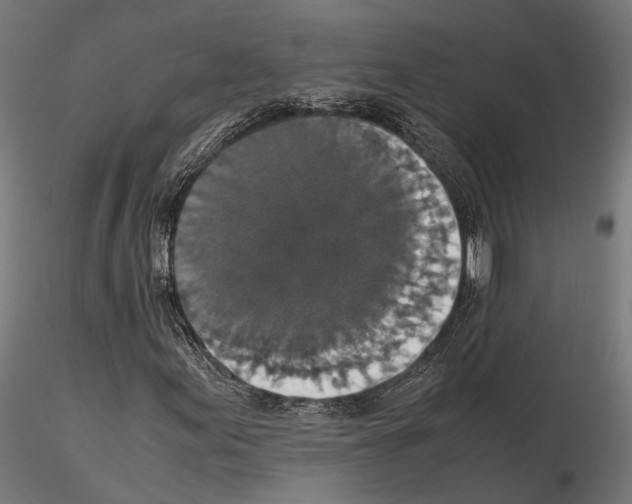 X0000115121155200912081338