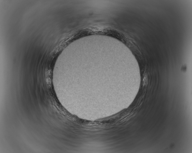 X0000115121156200912081338