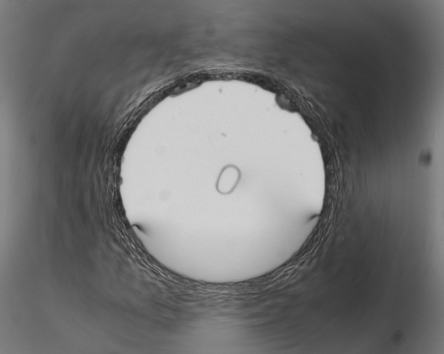 X0000115121157200912081338