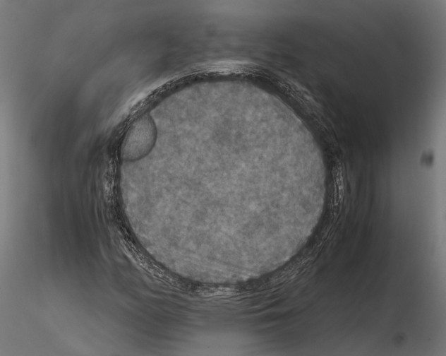 X0000115121158200912081338