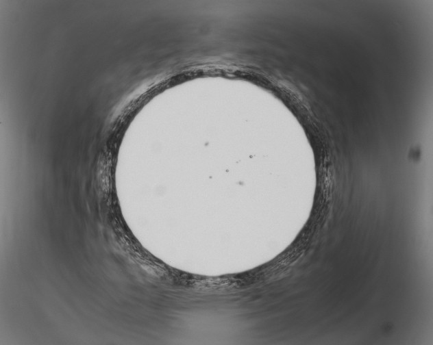 X0000115121159200912081338