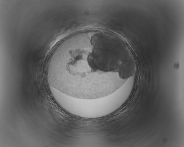 X0000115121160200912081338