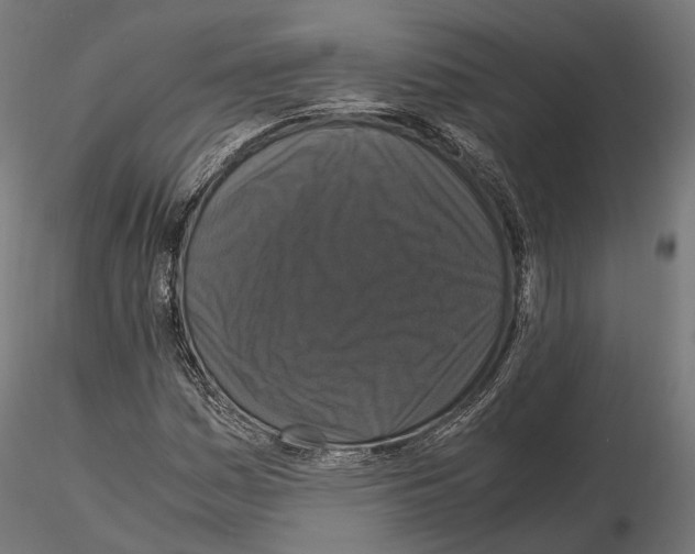 X0000115121161200912081338