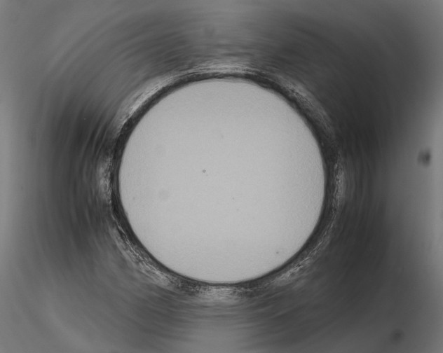 X0000115121162200912081338