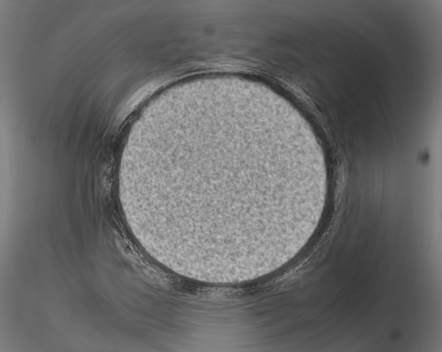 X0000115121163200912081338