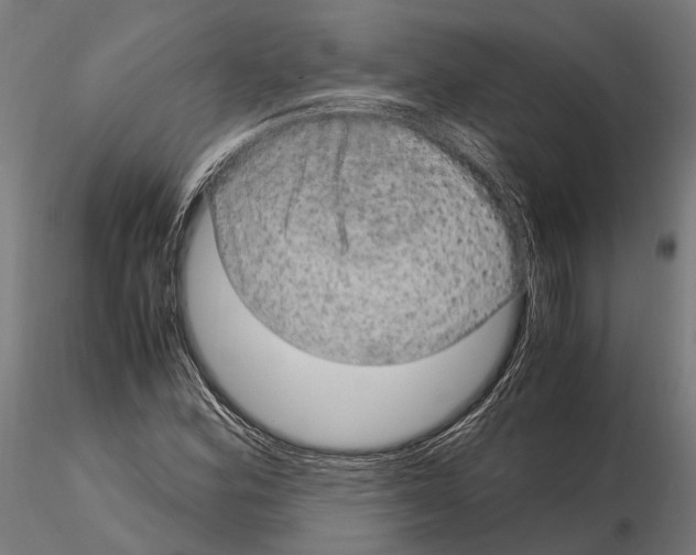 X0000115121164200912081338