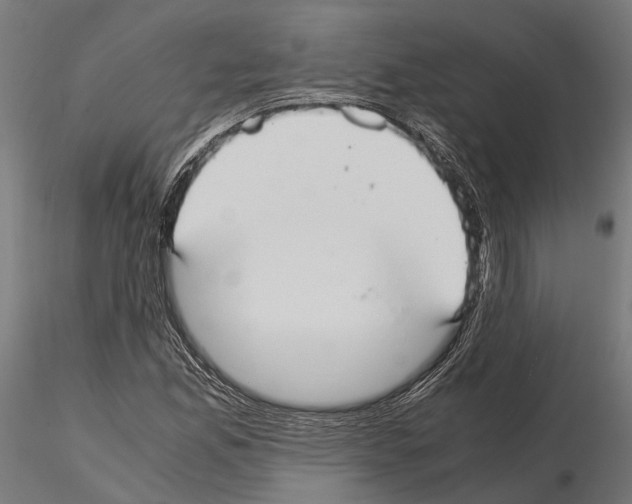 X0000115121165200912081338