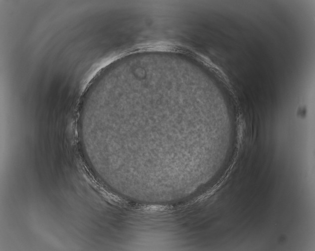 X0000115121166200912081338