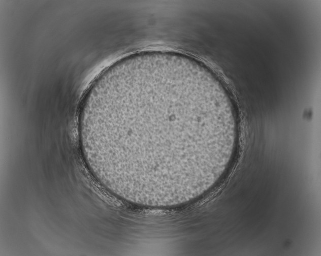 X0000115121167200912081338