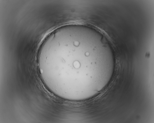 X0000115121168200912081338