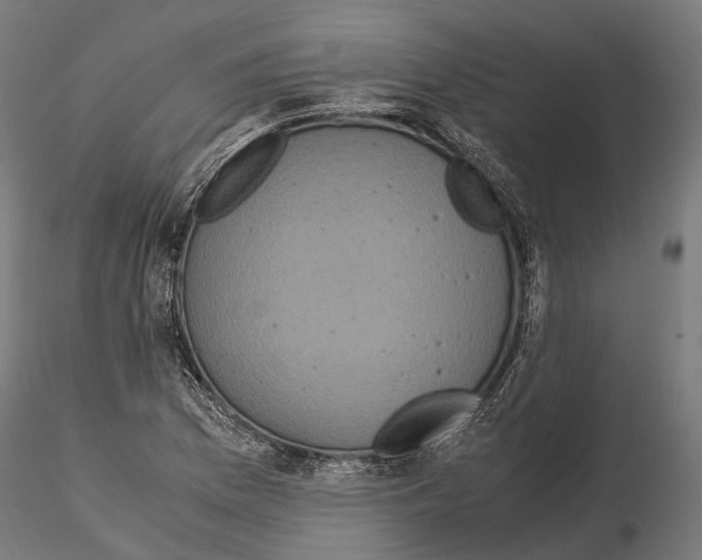 X0000115121169200912081338