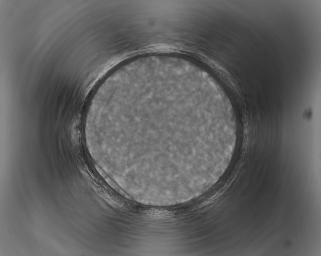 X0000115121170200912081338