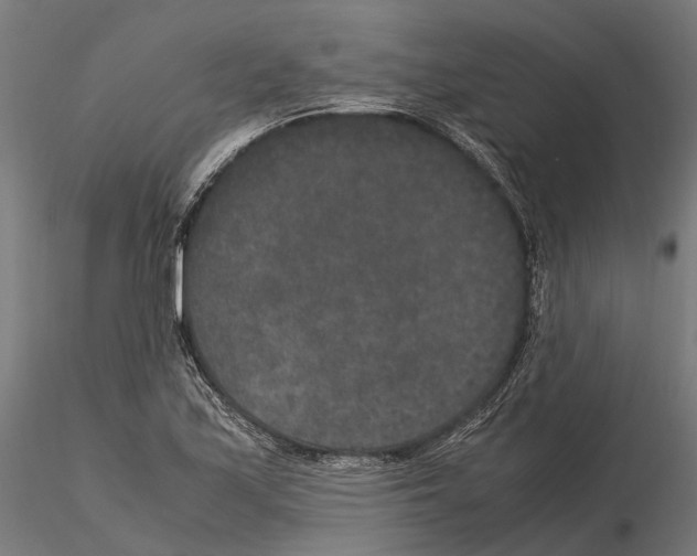 X0000115121171200912081338