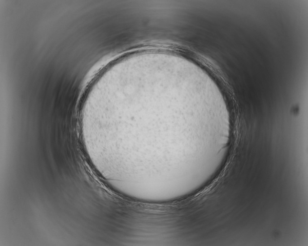 X0000115121172200912081338