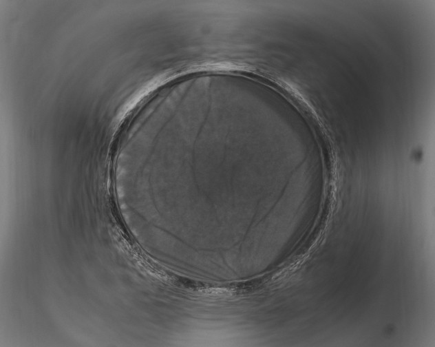 X0000115121173200912081338