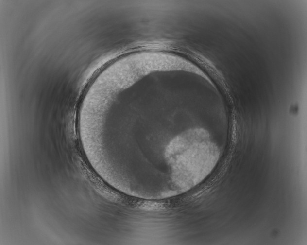 X0000115121174200912081338