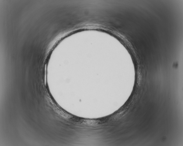 X0000115121175200912081338