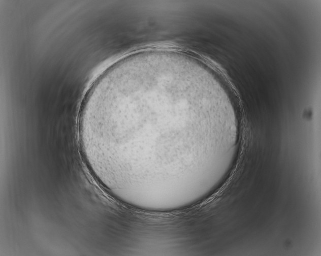 X0000115121176200912081338