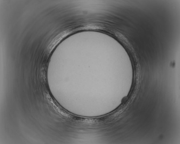 X0000115121177200912081338