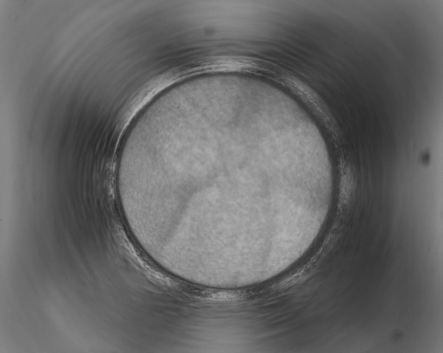 X0000115121178200912081337