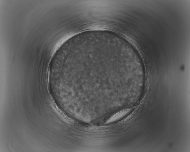 X0000115121179200912081337