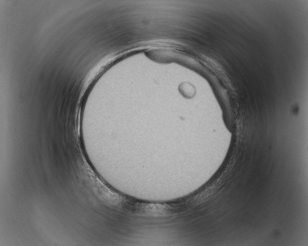 X0000115121180200912081337