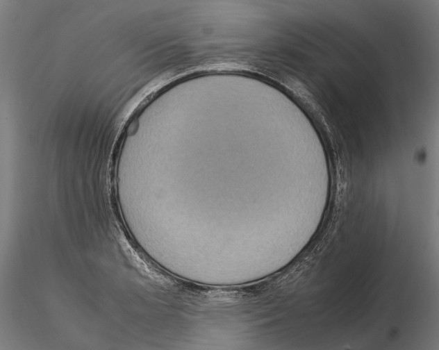 X0000115121181200912081337